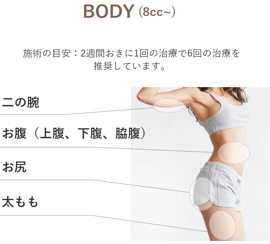 施術部位（BODY）