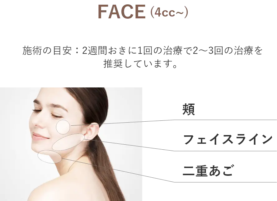 施術部位（FACE）