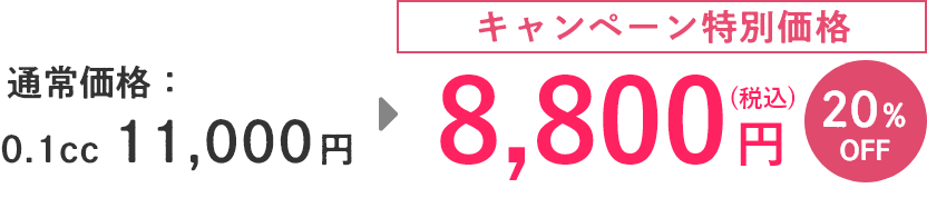 キャンペーン特別価格8,800円