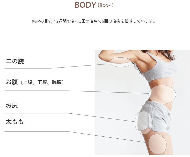 施術部位（BODY）