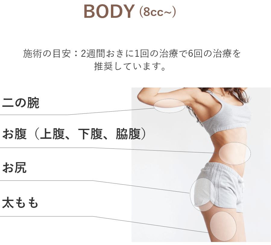 施術部位（BODY）