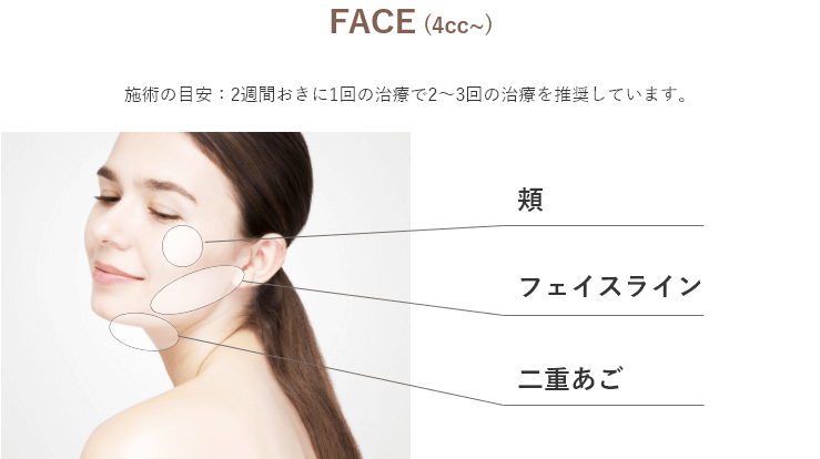 施術部位（FACE）