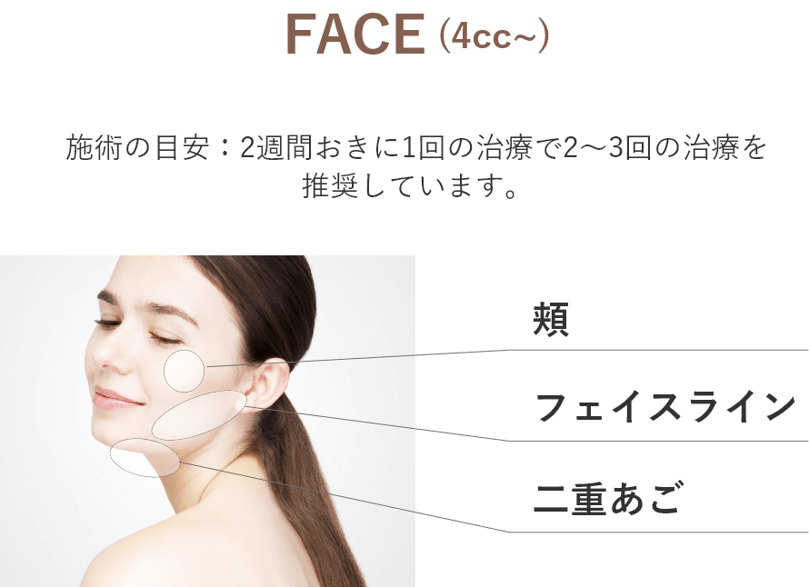 施術部位（FACE）