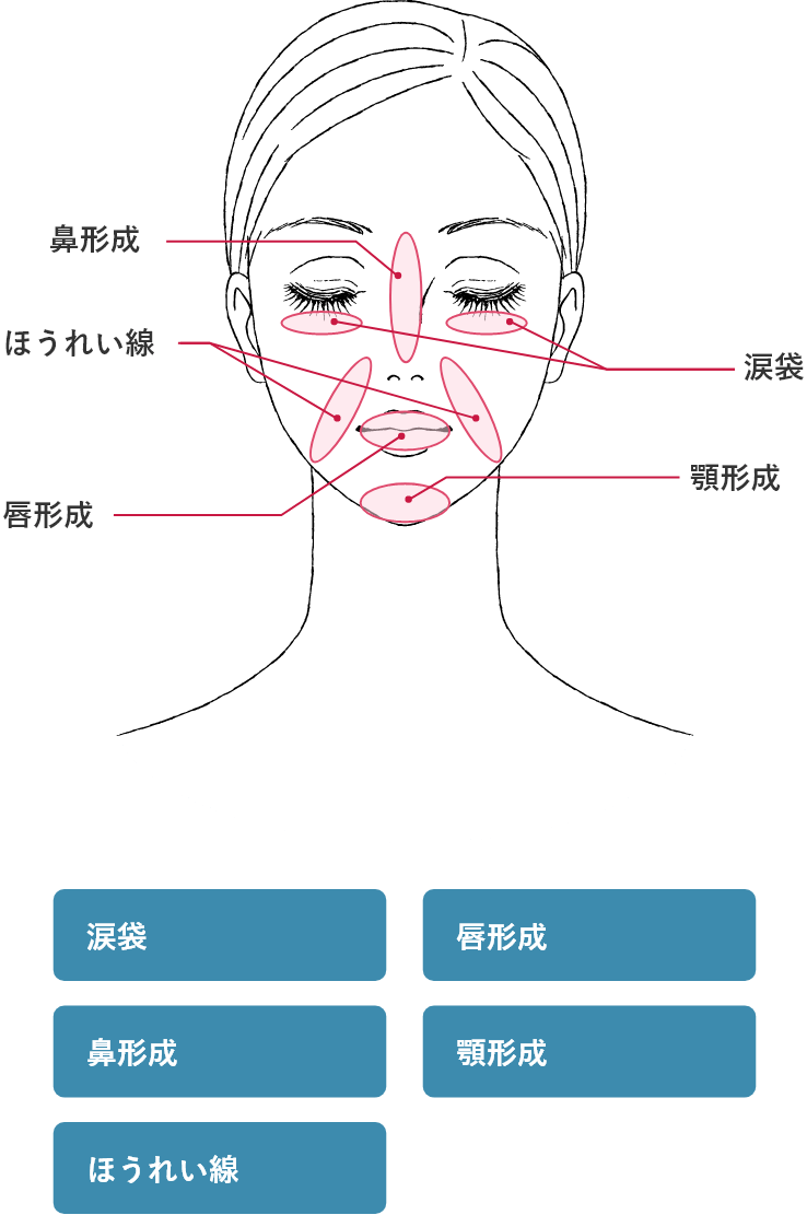 施術部位（涙袋、鼻形成、ほうれい線、唇形成、顎形成）